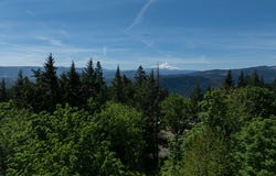 31 ASHLEY Dr, Underwood, WA 98651