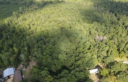 Blanchard Lane, Silver Creek, MS 39663