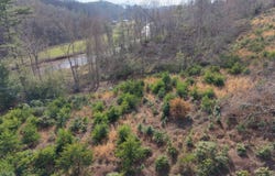 Franklintown Road, Spruce Pine, NC 28777