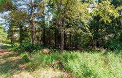 13234 Mountain View Rd S, Winona, TX 75792