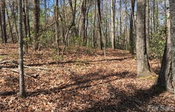 Lytle Mountain Road, Marion, NC 28752