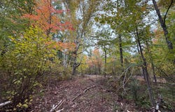 51449 Sand Creek Rd, Bruno, MN 55712