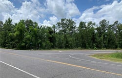 0 PINE FOREST Road, DeQuincy, LA 70633