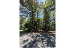 ASHBOROUGH DRIVE lot: 117, COTTONDALE, AL 35453