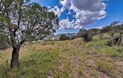 114 High Meadow Trail, Fort Davis, TX 79734