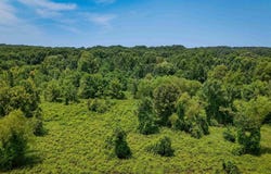 Highway 163, Cherry Valley, AR 72324