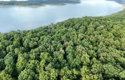 1200 Round Robin Lane, Oakland, AR 65761