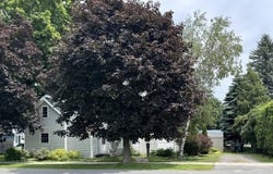 55 Maple Street, Rouses Point, NY 12979