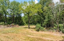 161 E Hopewell Rd, Cord, AR 72524