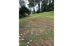 315 Iris Street, Piedmont, MO 63957