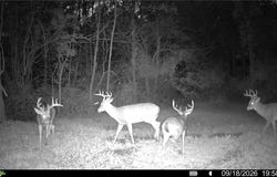Groves Hill RD, Caldwell, OH 43724