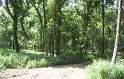 Ms-35, Charleston, MS 38921