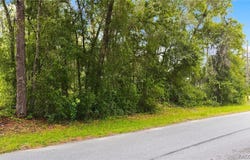 6982 N Palmer Way, Hernando, FL 34442