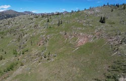 Nat'l Forest Develop Road 493, Council, ID 83612