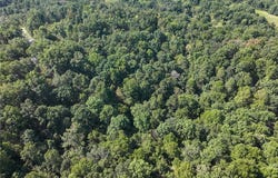 County Road 535, Jackson, MO 63755
