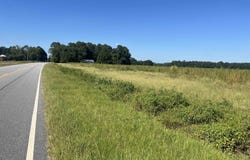 Highway 38, Blenheim, SC 29516