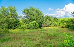 Malone, Midway, TX 75852