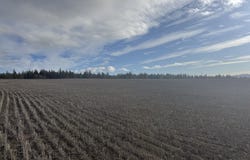NKA Two Mountainview Rd, Goldendale, WA 98620