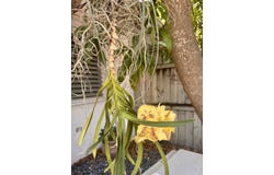 2012 Roosevelt Drive, Key West, FL 33040