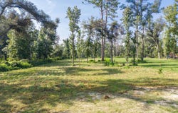 SW 77TH BLVD, Jasper, FL 32052
