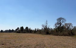 461 Currington Road, Mauk, GA 31058