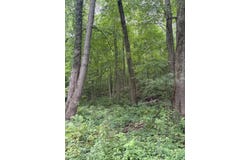 E Riverside Drive lot: B, Lowell, MI 49331