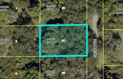 PID 10386975, LEHIGH ACRES, FL 33972