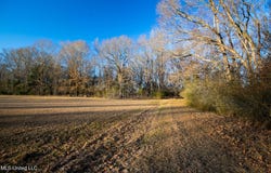 Mccullough Lane lot: 8, Flora, MS 39071