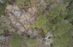 74 Farrior Dr, Maple Hill, NC 28408