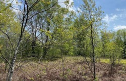 CRESTVIEW DRIVE, CADILLAC, MI 49601