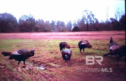 Highway 41, Brewton, AL 36426-1234