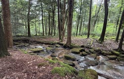 Songer Rd, Sigel, PA 15860