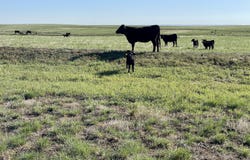 County Road 125, Deer Trail, CO 80105