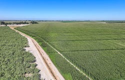 Blanchard Avenue, Laton, CA 93242