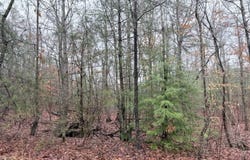 000000 hwy 68, Tellico Plains, TN 37385
