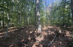 Dixie Hill Rd lot: 5, Buckingham, VA 23921