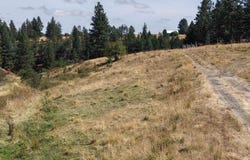 Mason Ave, Winchester, ID 83555