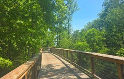 9 LOOKOUT, INDIAN HEAD, MD 20640