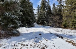 1490 Calcut Road, Lachine, MI 49753