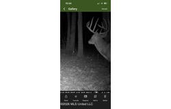County Rd 550, Minter City, MS 38944