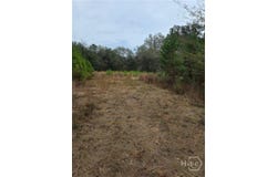 861 Brinson Road, Brooklet, GA 30415