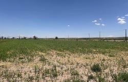37322 TX-20, Fort Hancock, TX 79839