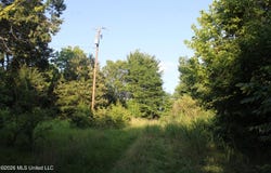 2000 Sparks Road, Lake Cormorant, MS 38641