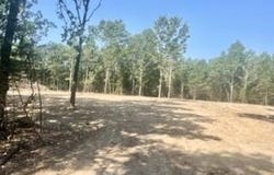 Tract 1&2 W Highway 32, Licking, MO 65542