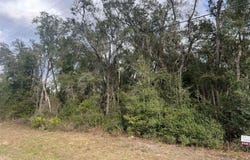 7466 TREIMAN Boulevard, WEBSTER, FL 33597