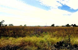 4404 Fm 603, Clyde, TX 79510