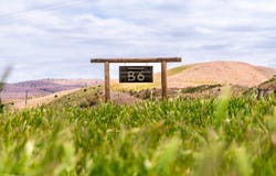 8050 Bitterwater Road, Shandon, CA 93461