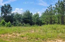 Evergreen Dr lot: 96, DOVER, TN 37058