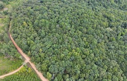 OAK RIDGE Rd, Fayette, AL 35555