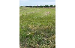 1802 N Interstate 27 Service Road, Plainview, TX 79072